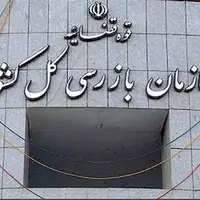 مهلت ۱۰ روزه سازمان بازرسی به بیمهها برای پرداخت خسارتهای معوق