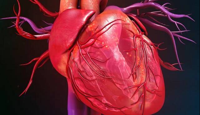 سلولهای بنیادی، ناجی احتمالی قلبهای بیمار