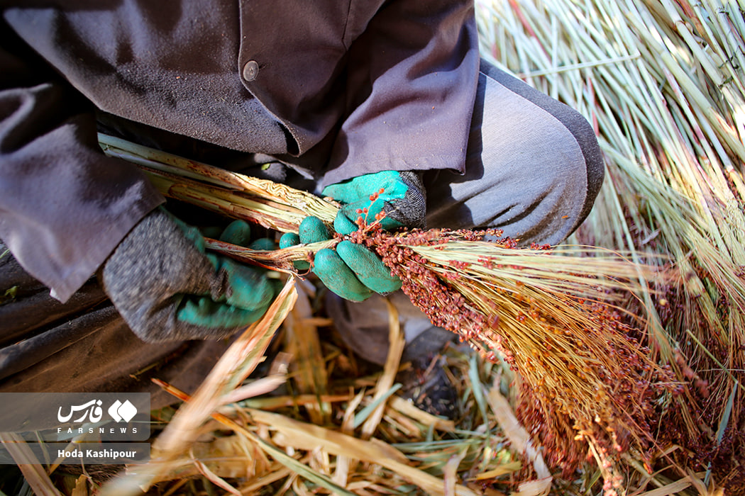 عکس/بابل شهر جاروبافی