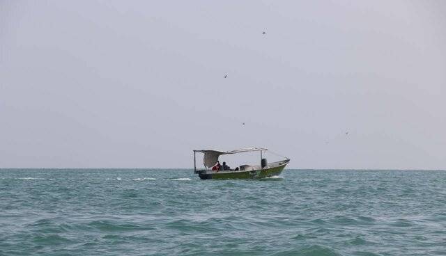 وزش باد شمالشرقی و غبار محلی در سواحل و جزایر هرمزگان