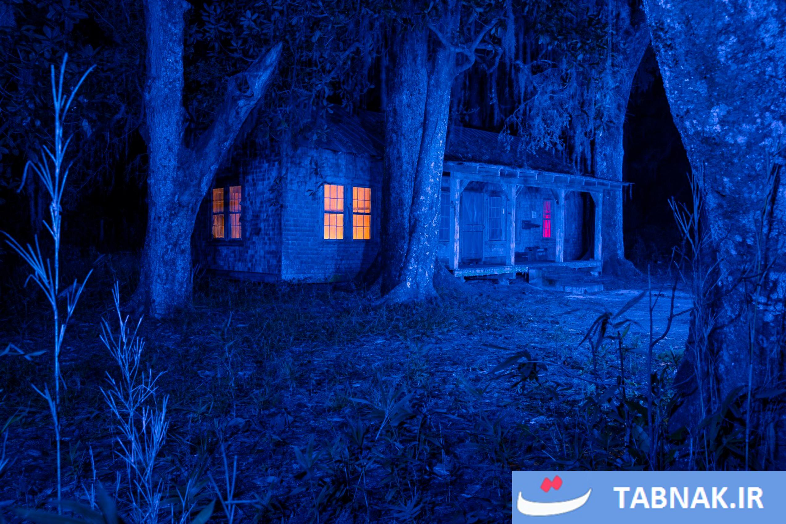 از سکوت تا شهود؛ ثبت لحظههای ماورایی در تالاب اوکیفنوکی