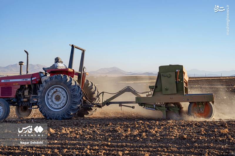  آغاز کاشت گندم در لرستان