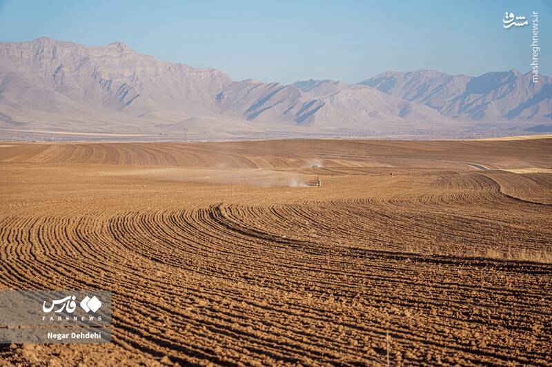  آغاز کاشت گندم در لرستان
