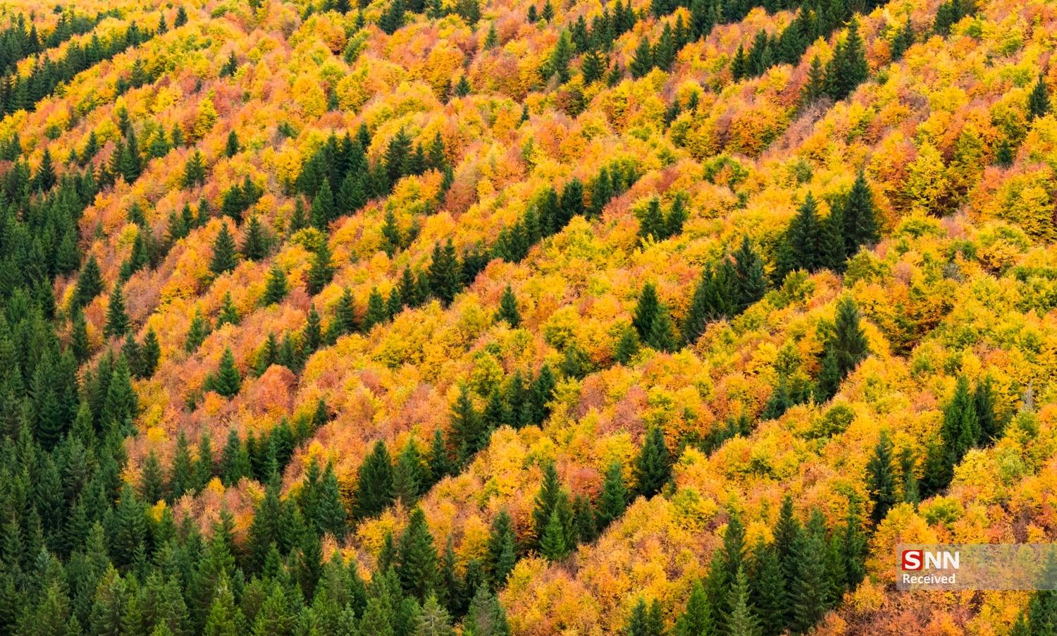 پاییز در نیم‌کره شمالیِ زمین