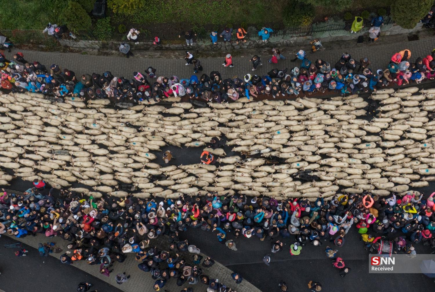 پاییز در نیم‌کره شمالیِ زمین