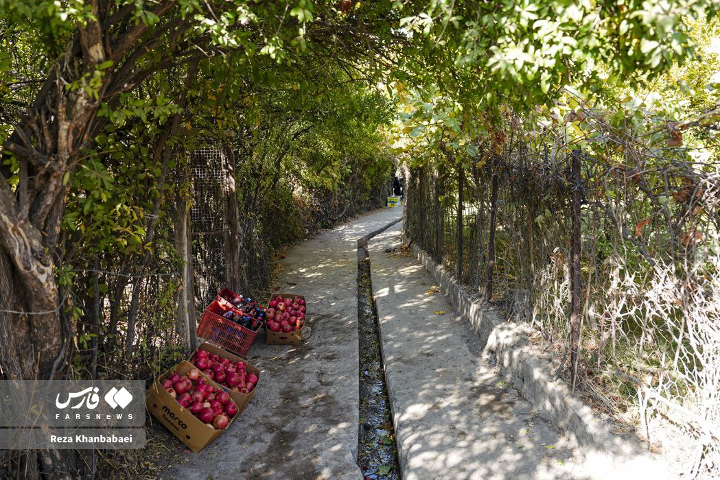 جشنواره انار نمهیل