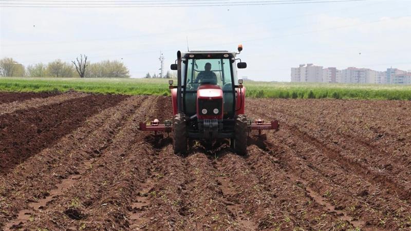 آغاز کشت پاییزه در کردستان با تأمین نهادههای مورد نیاز کشاورزان