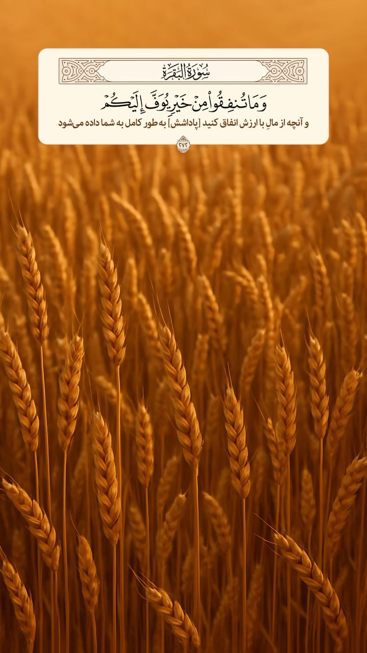 طرح/ پاداش انفاق 