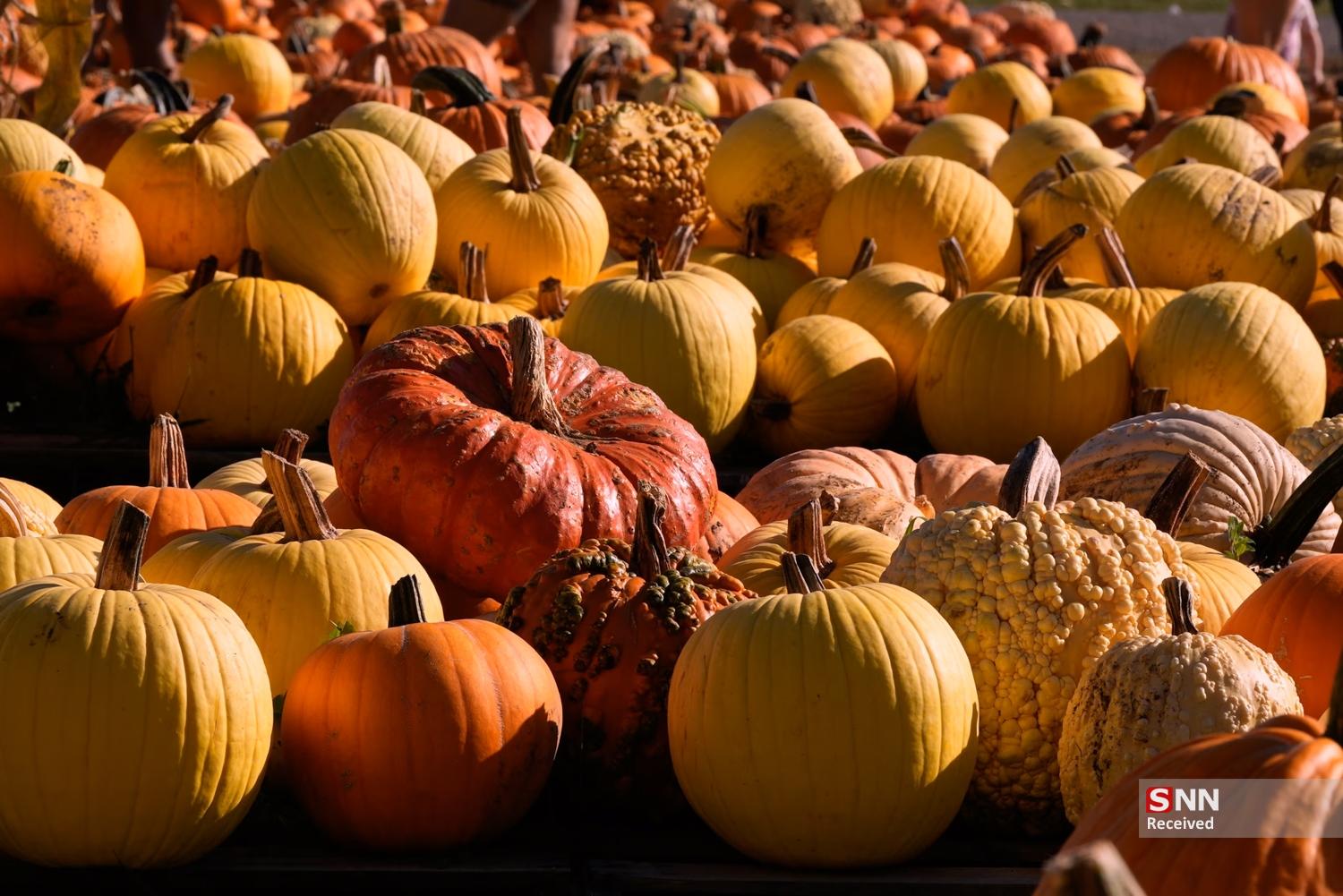 پاییز در نیم‌کره شمالیِ زمین