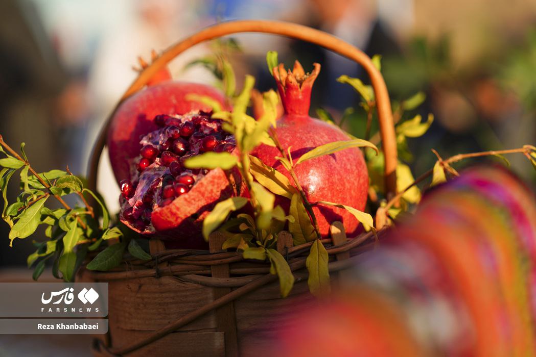 جشنواره انار نمهیل