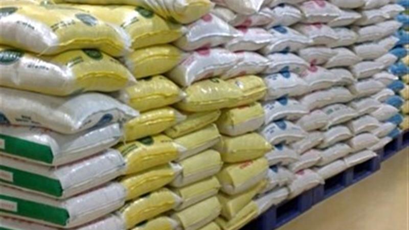 عرضه برنج دولتی برای تعادل قیمت‌ها در بازار ایلام
