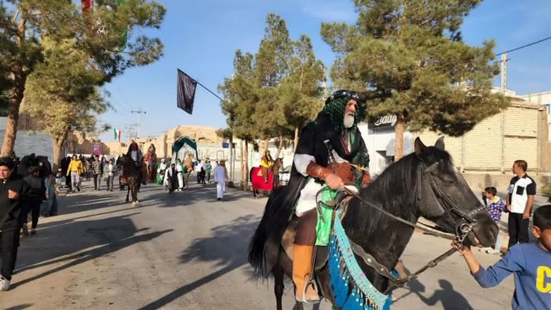 ابرکوه، غرق در شور رضوی؛ آیین استقبال نمادین از امام رضا(ع) برگزار شد