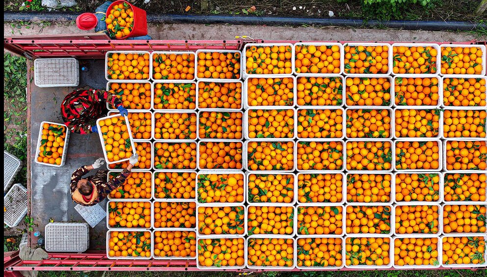 تصاویر دیدنی امروز؛ از خسارات توفان های موسمی تا سالگرد انقلاب اکتبر روسیه