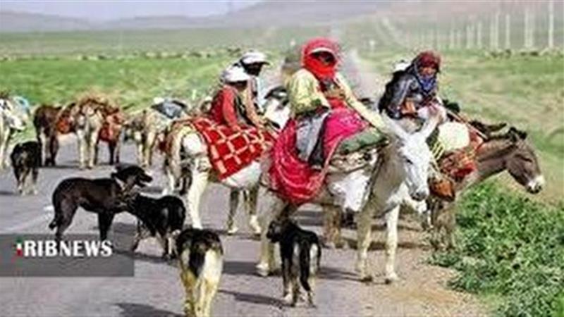 عشایر در فصل کوچ نگران تامین علوفه دام‌های خود نباشند