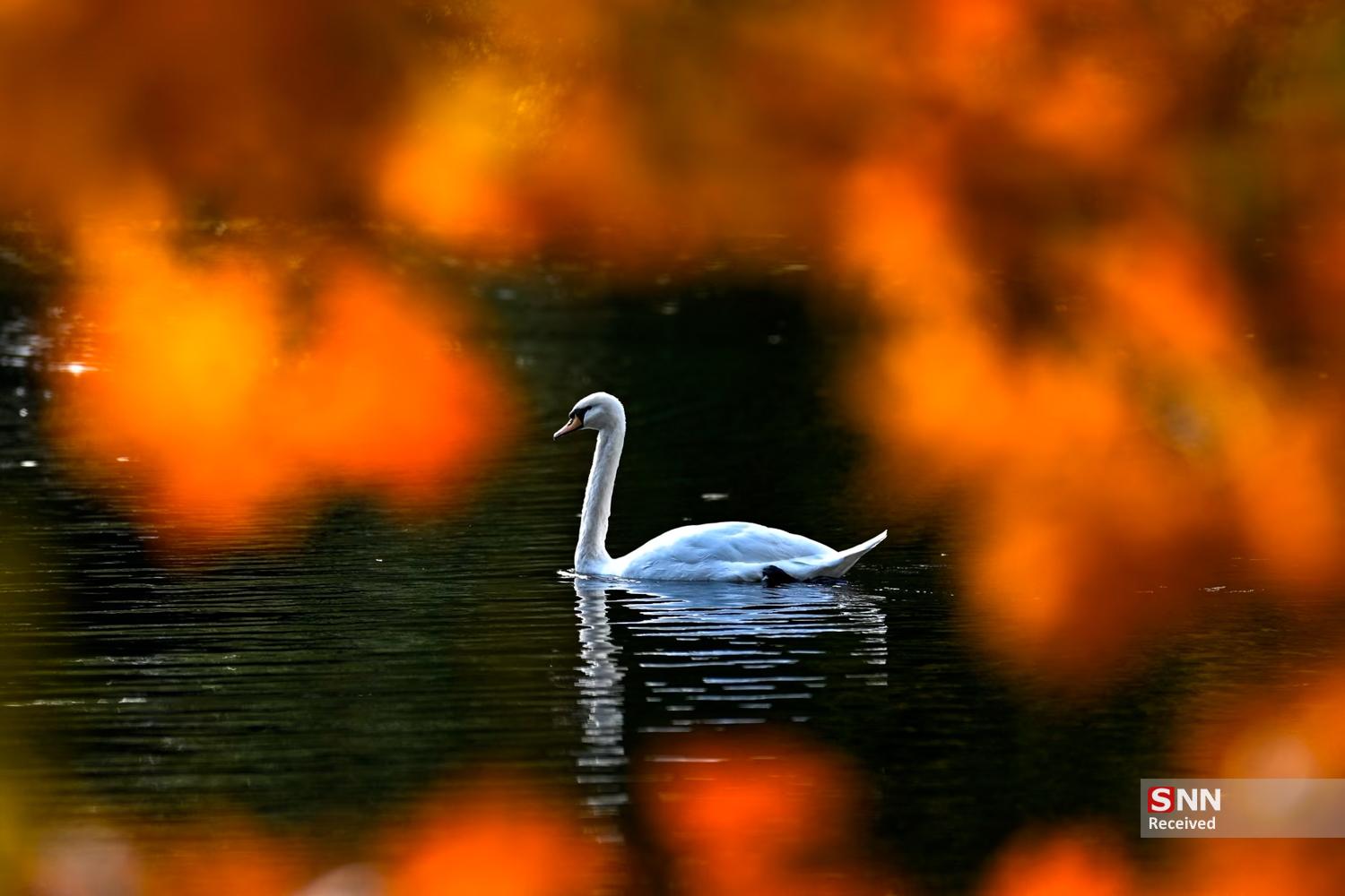 پاییز در نیم‌کره شمالیِ زمین