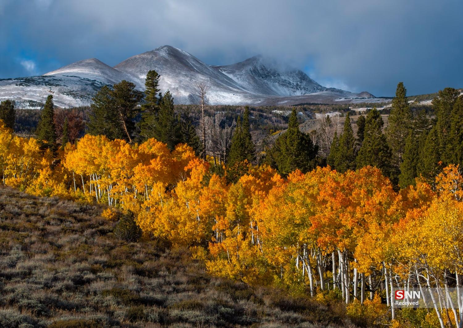 پاییز در نیم‌کره شمالیِ زمین