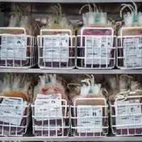 سردخانه ذخیره پلاسما در خراسان شمالی وارد مدار شد