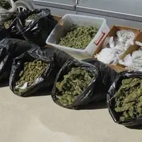 بزرگ‌ترین محموله ماریجوانا سال کشف شد