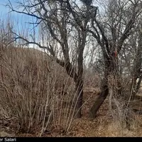 روستایی در ایران که فقط یک خانواده دارد!