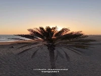 معجزه طبیعت ؛ تلاقی کویر و دریا