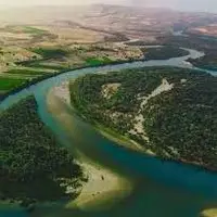 بیشه زیبای عقیلی یک منطقه بکر و بی مثال در خوزستان