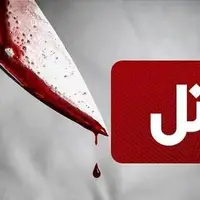 واکنش پلیس غرب استان تهران در خصوص پرونده قتل خانم «مبینا زارع»