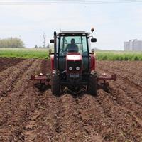 آغاز کشت پاییزه در کردستان با تأمین نهادههای مورد نیاز کشاورزان