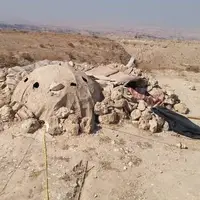 دستگیری 4 متخلف زندهگیری پرندگان شکاری در غرب هرمزگان