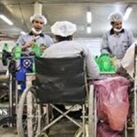 توسعه حمایت‌های بهزیستی؛ از تسهیلات اشتغال تا پوشش بیمه‌ای