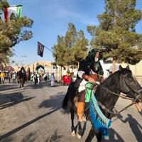 ابرکوه، غرق در شور رضوی؛ آیین استقبال نمادین از امام رضا(ع) برگزار شد