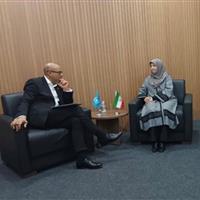 دبیرخانه کنوانسیون تغییر اقلیم صدای ایران را خواهد شنید/تاکیدبرتوسعه همکاریهای محیطزیستی