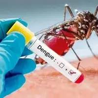 آخرین وضعیت بیماری تب دنگی در کهگیلویه و بویراحمد