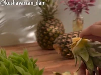 آموزش کاشت آناناس در گلدان