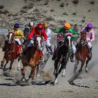 کورس پاییزه اسب‌دوانی راز و جرگلان