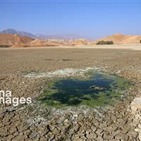 برنامه هفتم در پی اصلاح حکمرانی آب/عبور از بحران نیازمند تصمیمگیری مشترک