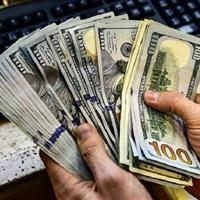 جریمه شرکت متخلف ارزی در البرز