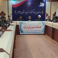 راه‌اندازی ۶ منطقه الگویی در ایلام، گامی نو در توسعه کشاورزی پایدار ایلام