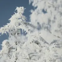 یخبندانهای شبانه در راه کرمان