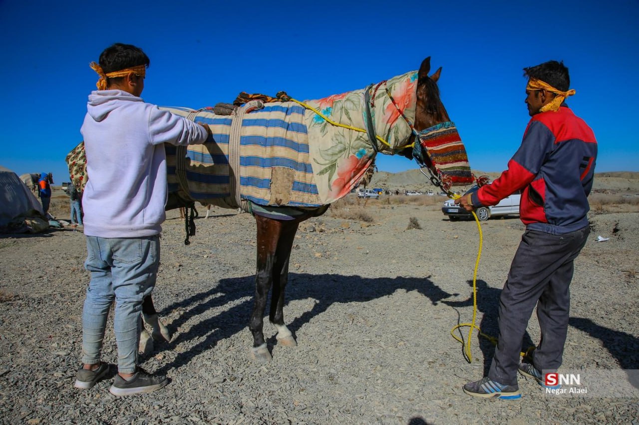 کورس پاییزه اسب‌دوانی راز و جرگلان