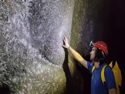 کشف بزرگترین کلونی عنکبوتها با بیش از ۱۱۱ هزار تار