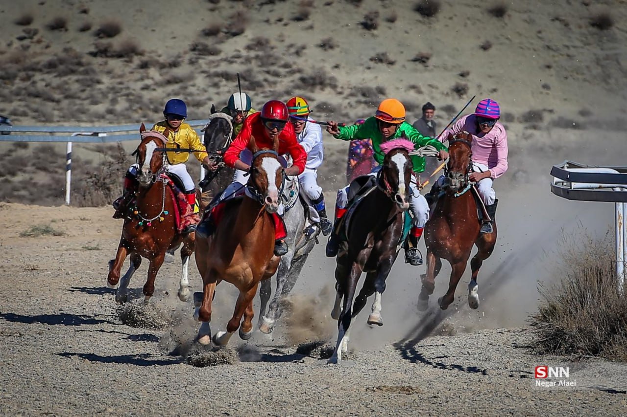 کورس پاییزه اسب‌دوانی راز و جرگلان