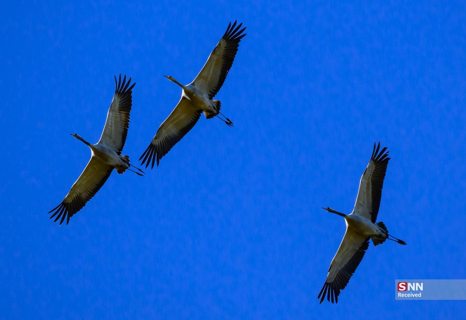 پاییز در نیم‌کره شمالیِ زمین