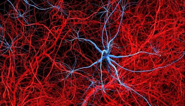 آلزایمر با تخریب عصبها در بافت چربی، فراتر از مغز اثر میگذارد