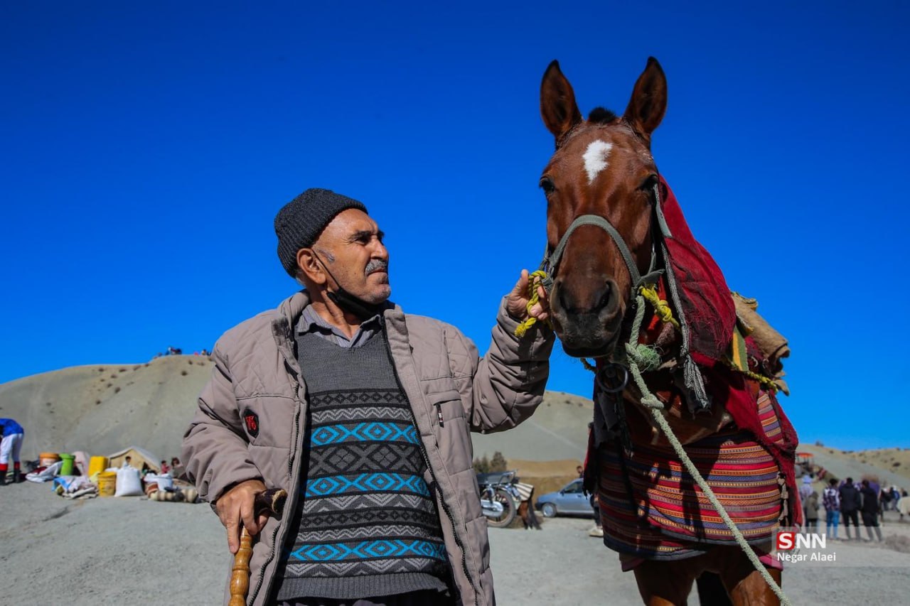کورس پاییزه اسب‌دوانی راز و جرگلان