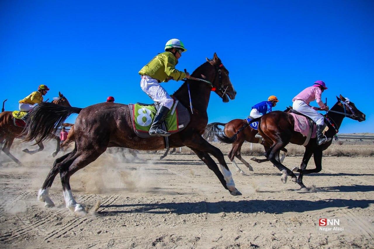 کورس پاییزه اسب‌دوانی راز و جرگلان