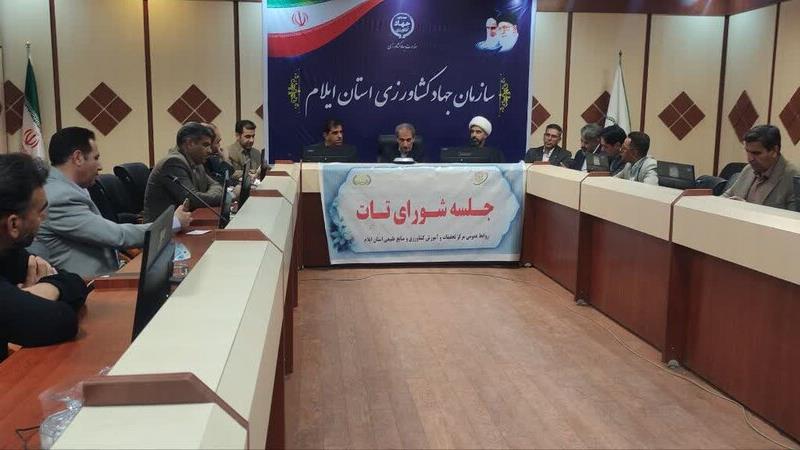 راهاندازی ۶ منطقه الگویی در ایلام، گامی نو در توسعه کشاورزی پایدار ایلام