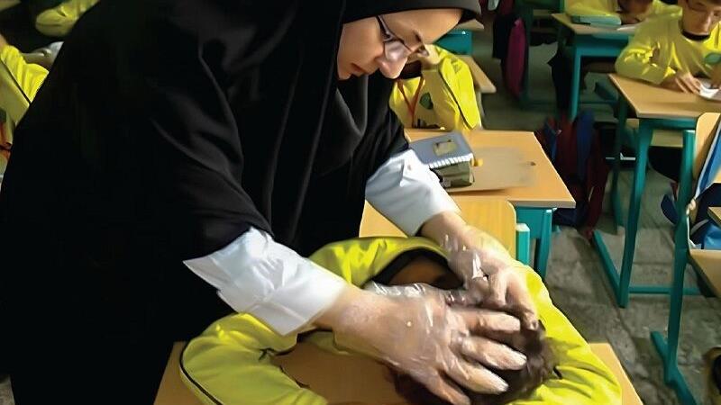 شپش مهمان ناخواسته مدارس خراسانشمالی؛ راه مقابله چیست؟