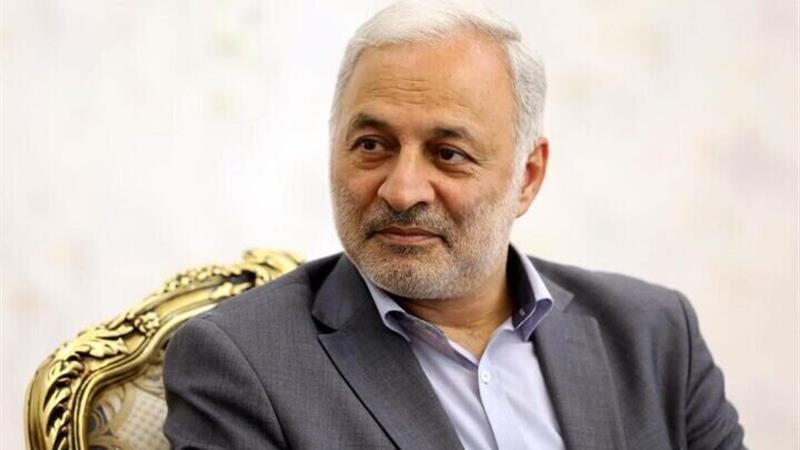 گزارش معاون وزیر خارجه از آخرین وضعیت لایحه حمایت از ایرانیان خارج از کشور