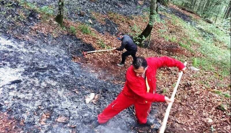 هشدار درباره افزایش دما و خطر آتش‌سوزی در جنگل‌های مازندران