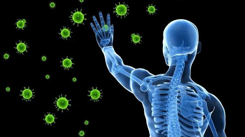 ویتامین C برای تقویت سیستم ایمنی مفیدتر است یا زینک؟